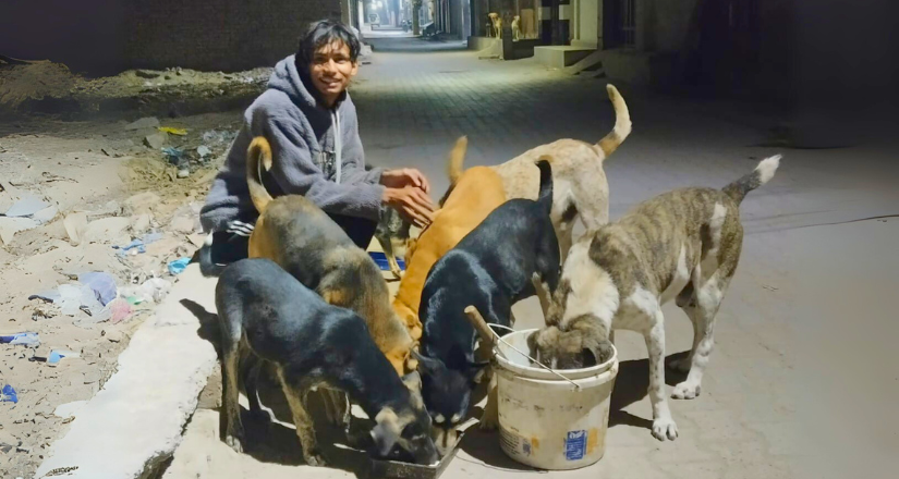 Be Their Voice: Help Save Stray Dogs in Sirsa