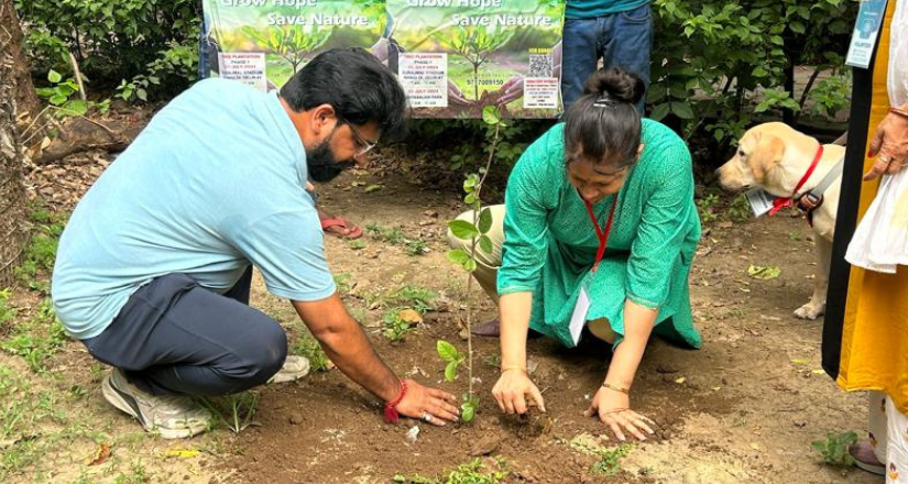 Green Earth: Bringing Nature Back to Our Lives